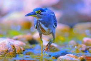 2023-2024赛季西甲联赛足球排名表西甲联赛足球排名表