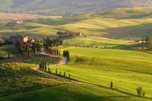 巴西甲组联赛直播，激情与竞争的完美结合巴西甲组联赛直播